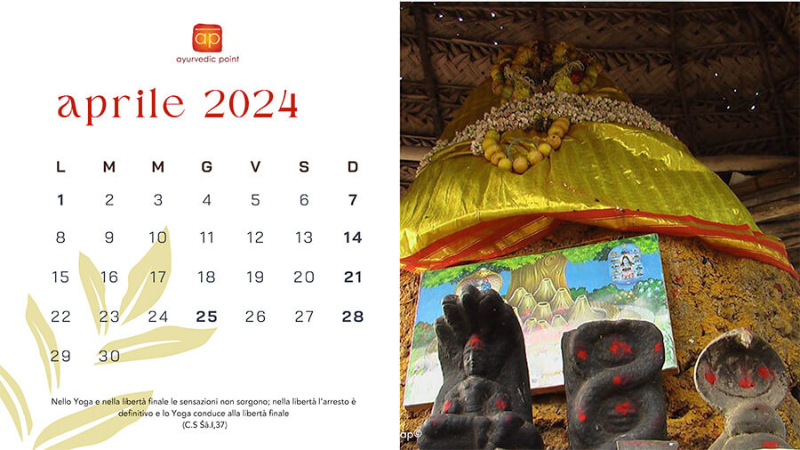 Calendario 2024 Ayurvedic Point© Scuola e Centro di Āyurveda, Milano