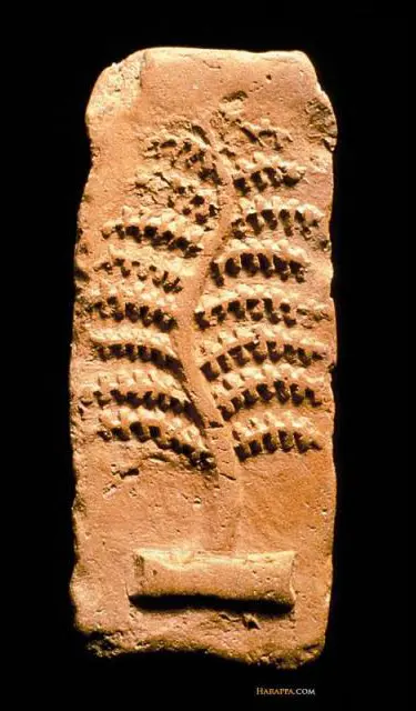 Tavoletta in terracotta di Harappa (2600–1900 a.C.) raffigurante un albero sacro, probabilmente il pipal (aśvattha), che cresce da una piattaforma