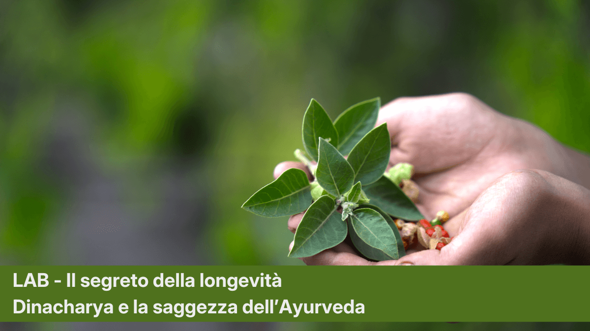 Longevity Lab: Il segreto della longevità - Dinacharya e la saggezza dell’Āyurveda