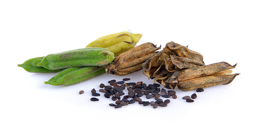 Sesamo baccelli e semi | Ayurvedic Point©, Milano