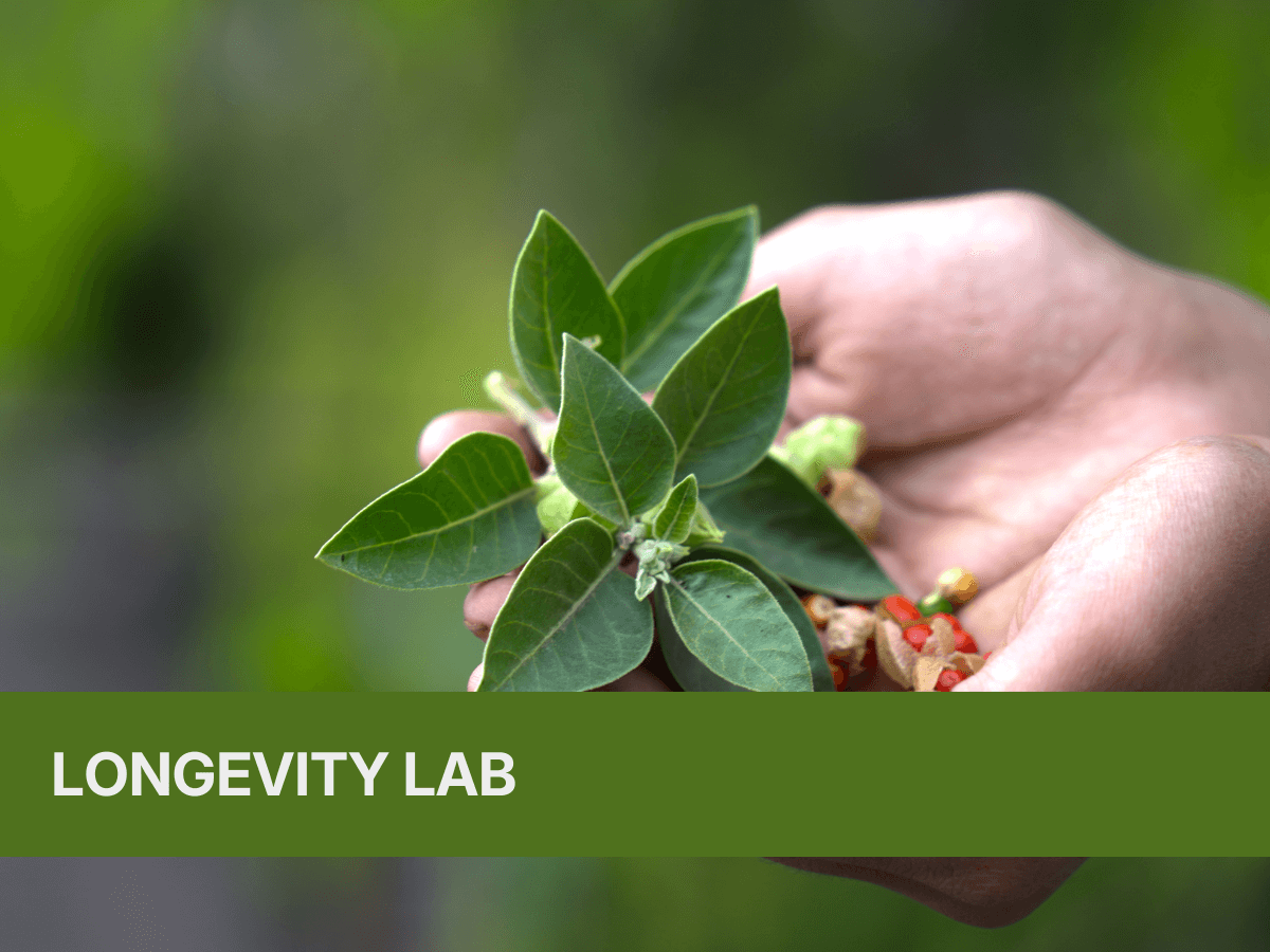 Laboratori Dinacharya e la saggezza dell’Āyurveda - Milan Longevity Summit