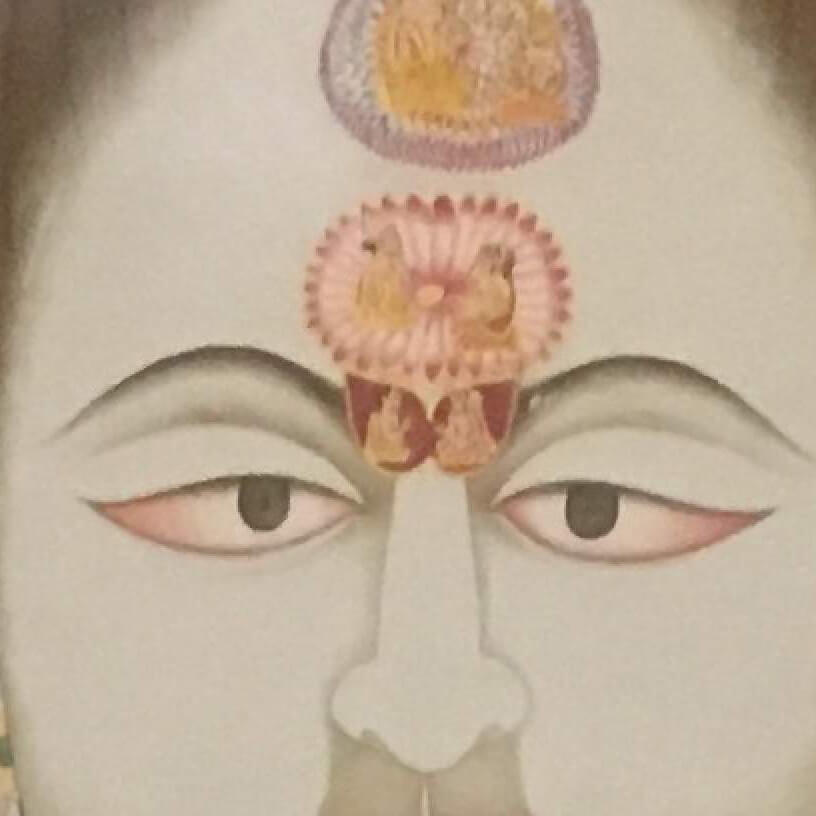 Vedere con il cuore - introduzione alla psicologia ayurvedica